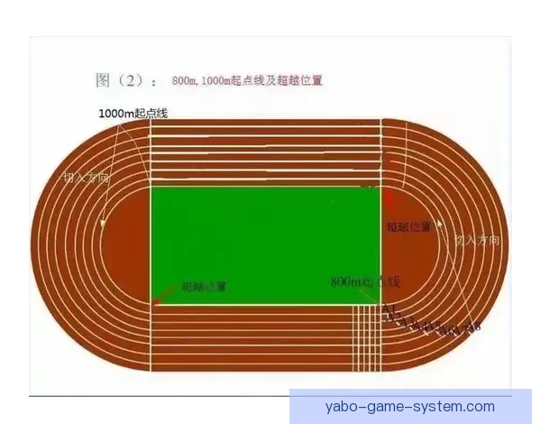 精准预测与分析：掌握体育竞猜技巧助你稳步获胜