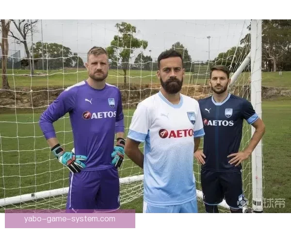 世界杯赔率全解析：各大热门球队胜率与盘口对比分析