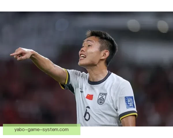 聚焦2026世界杯赔率走势深度解析与冠军热门球队前景全面观察