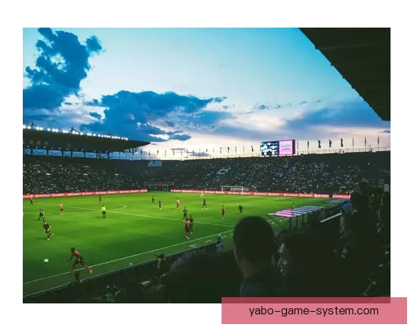 2026年世界杯美国主办热潮足球盛宴全球关注赛事全景解析